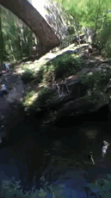 Tumalon Usa GIF - Cliff Jump GIFs