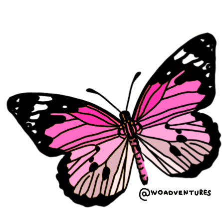 Butterfly Pink Butterfly Sticker - Butterfly Pink Butterfly Freedom Stickers