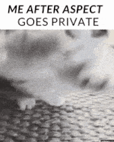 private aspect