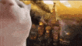 a close up of a cat looking at a painting of a castle