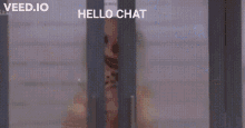Hello Chat Mr Blobby GIF - Hello Chat Mr Blobby GIFs