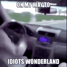 Idiots Wonderland Funny GIF - Idiots Wonderland Funny Car GIFs