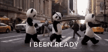 Pandas I Been Ready GIF - Pandas I Been Ready GIFs