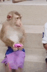 Alusicentric Monkey GIF - Alusicentric Monkey Dragonfruit GIFs