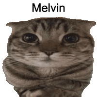 Melvin Smellvin Sticker - Melvin Smellvin Cat Stickers