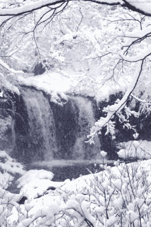 waterfall winter snow trees nature