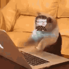 Booster Typing Fast GIF - Booster Typing Fast Stroopwaffle GIFs