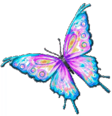 papillon butterfly flapping wings insect bug