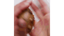 a close up of a person holding a piece of food in their hand .
