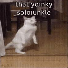 Animals With Captions Yoinky Sploinky GIF - Animals With Captions Yoinky Sploinky That Yoinky Sploinky GIFs