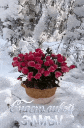 пожелание цветы --роз GIF - пожелание цветы --роз зима GIFs