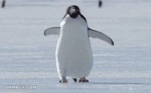 a penguin is walking in the snow with the words " happy birthday " above it