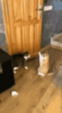 Cats Funny GIF - Cats Funny Falling Down GIFs