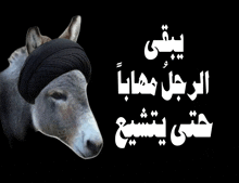 a donkey wearing a black turban with arabic writing