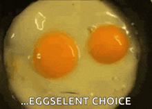 Joke Egg GIF - Joke Egg GIFs