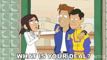 What Is Your Deal Reagan Ridley GIF - What Is Your Deal Reagan Ridley Brett Hand GIFs