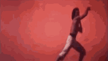 The Thundering Mantis Martial Arts GIF - The Thundering Mantis Martial Arts GIFs