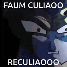 a picture of a cartoon character with the words faum culiaoo reculiaooo