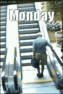 Monday Escalator GIF - Monday Escalator Fail GIFs