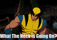 X Men 97 Wolverine GIF - X Men 97 Wolverine What The Heck Is Going On GIFs