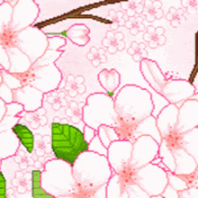 Flowers Cherry GIF - Flowers Cherry Blossom GIFs