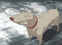Code Lyoko Kiwi GIF - Code Lyoko Kiwi Dog GIFs