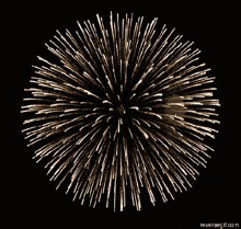 Fireworks Gif GIF - Fireworks Gif GIFs