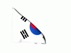 South Korea Flag GIF - Southkorea GIFs