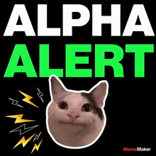 Mememaker Crypto Meme GIF - Mememaker Crypto Meme Crypto Cat GIFs