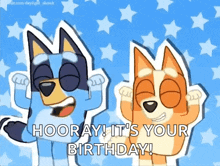 two cartoon dogs are standing next to each other on a blue background with stars .