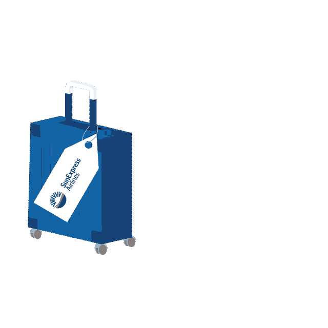 Sunexpress cheap hand luggage