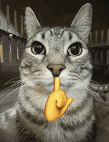 Mogging Mewing GIF - Mogging Mewing Cat GIFs