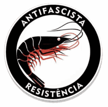 camar%C3%A3o antifa camarao antifa antifa antifascista fascista
