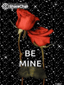 Valentines Roses GIF - Valentines Roses Sparkles GIFs
