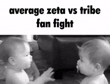 two babies are looking at each other with the words average zeta vs tribe fan fight above them