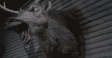 Evil Dead2 Laughing Animal Heads GIF