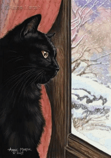 Snow Cat Black Cat GIF - Snow Cat Black Cat GIFs