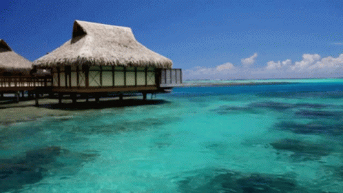 Omg Maldives GIF - Omg Maldives Clear Waters GIFs