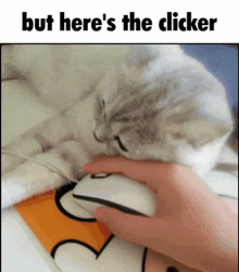a picture of a cat and a mouse with the words but here 's the clicker below it
