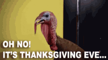 Oh No Thanksgiving Eve GIF - Oh No Thanksgiving Eve Just Be Glad Ur Not A Turkey Right Now GIFs