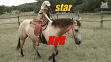 Dog Riding Horse Wos GIF - Dog Riding Horse Wos Star GIFs