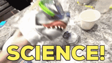 Shark Puppet Science GIF - Shark Puppet Science Scientific GIFs