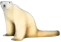 a polar bear is sitting down on a white background