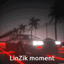 a car is driving down a road with palm trees in the background and the caption linzik moment