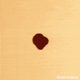 a hand is holding a blue sponge with the name evan hilton written below it