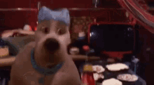 Scooby Doo Hot Sauce GIF - Scooby Doo Hot Sauce Dog GIFs