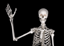 курошпи крутой скелет GIF