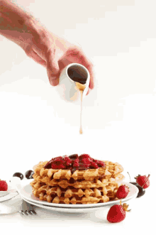 Waffle Breakfast GIF