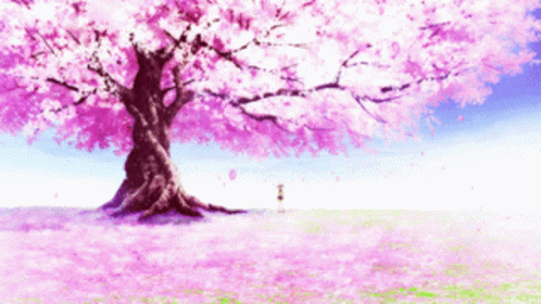 Anime girl under Cherry blossom trees by schoolseecat on DeviantArt