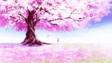 Sakura Tree Fall GIF - Sakura Tree Fall Beautiful GIFs